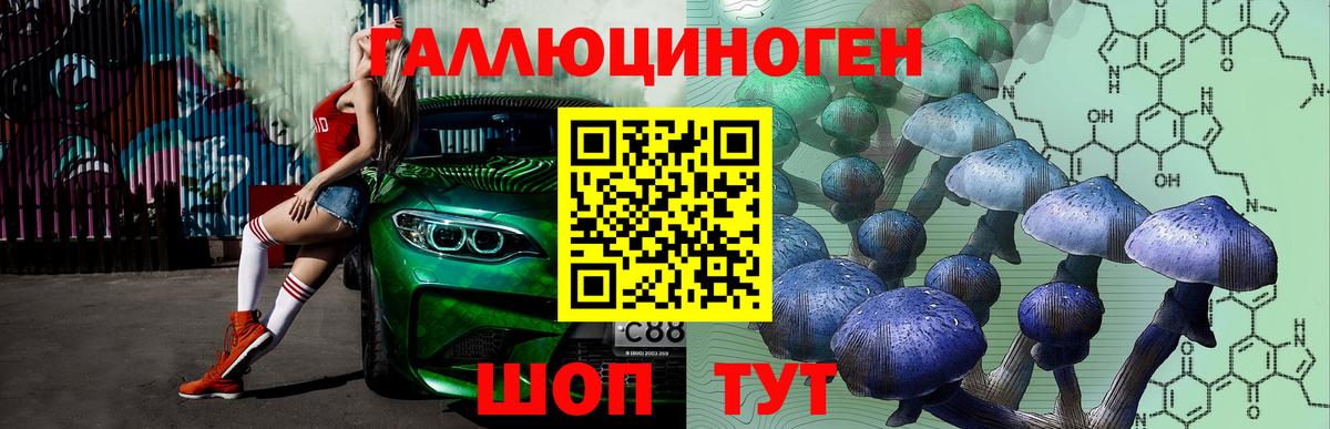 Галлюциногенные грибы прущие грибы Фрязино